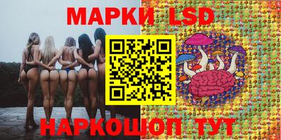 шишки Бийск