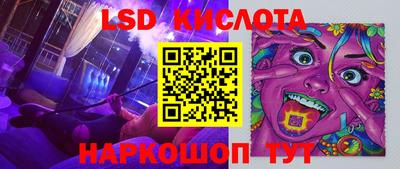 шишки Бийск