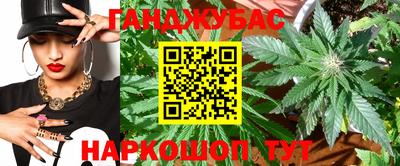 шишки Бийск