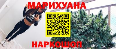 шишки Бийск