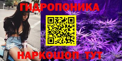 шишки Бийск