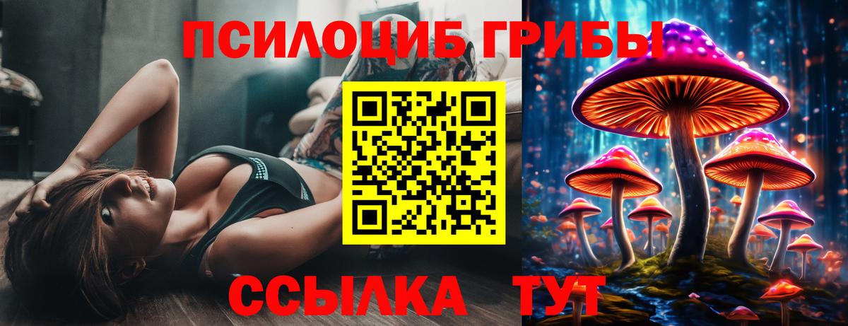 Псилоцибиновые грибы Psilocybine cubensis Всеволожск