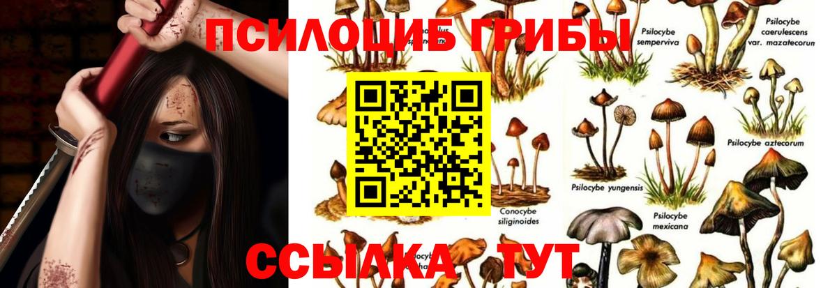 Галлюциногенные грибы мицелий  Псилоцибиновые грибы MAGIC MUSHROOMS  Всеволожск  Вход с VPN 